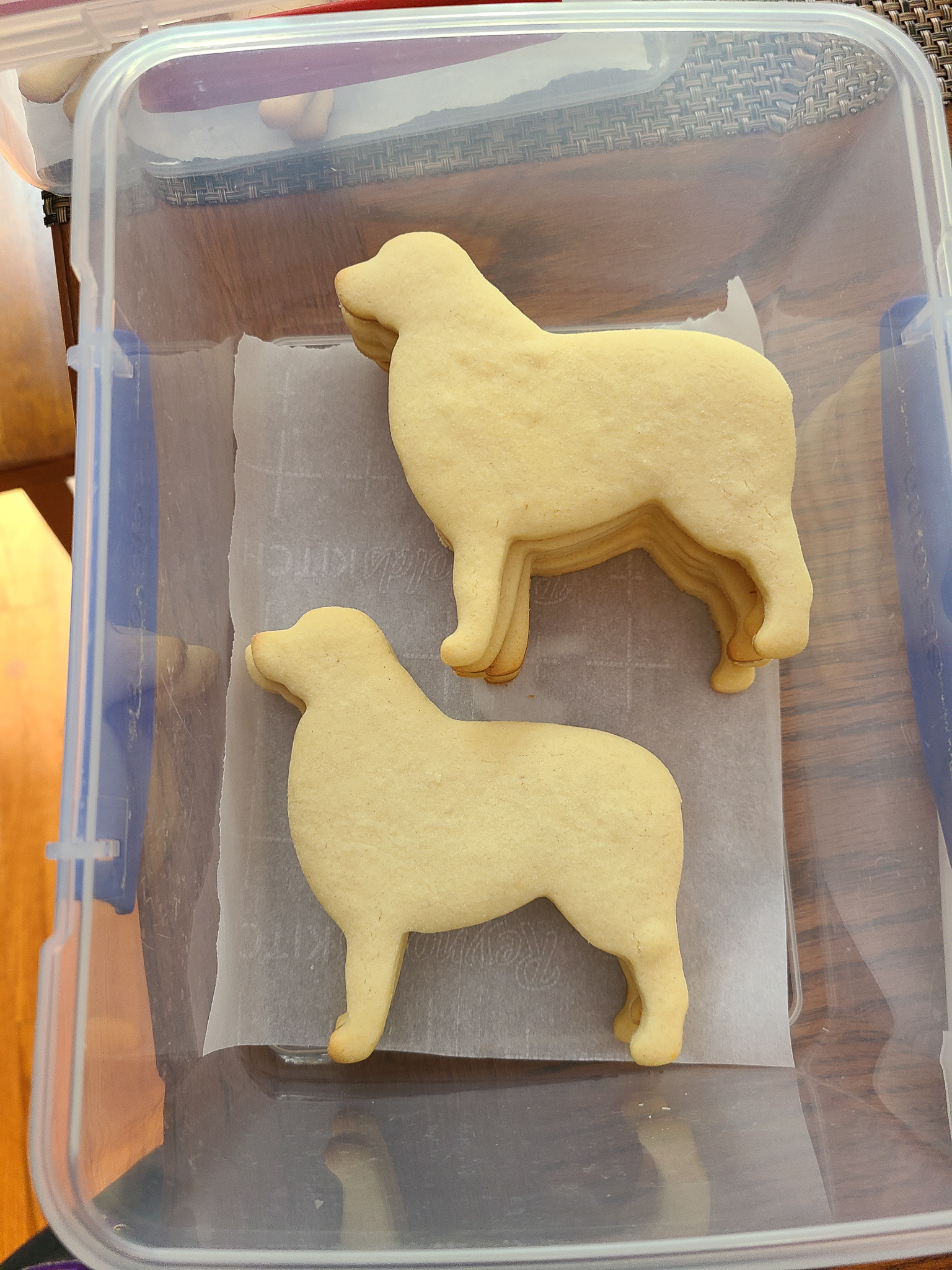 Berner Cookies HipGiraffe Crafts